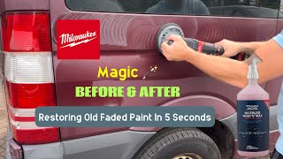 Easily Restore Faded Paintwork In Seconds  Car Valeting Guide [upl. by Magena45]