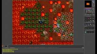 Tibia  Spring Into Life Event 60 Dragons Hatchling at once [upl. by Asim114]