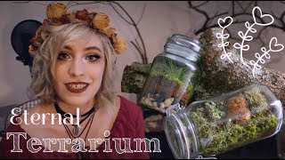 Tutorial cómo hacer un Eternal Terrarium [upl. by Lemmie593]