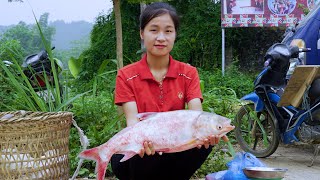 Ella Harvesting Fishs Go to the market to sell [upl. by Koehler212]