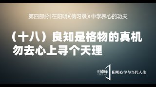 第三十四课（十八）良知是格物的真机，勿去心上寻个天理  王德峰 [upl. by Filip221]