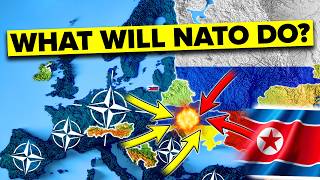 Will NATO Enter Ukraine Now That North Korea Fights for Russia [upl. by Yahsram]