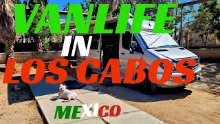 Exploring Los Cabos by Van Tips Treasures and Tacos [upl. by Tressia685]