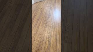 Aged Oak stain on pine beforeandafter woodfloor refinishhardwoodfloors stain uv sun damage [upl. by Alysa]