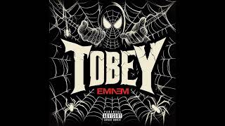 TOBEY  EMINEM INSTRUMENTAL COVER [upl. by Trinidad]