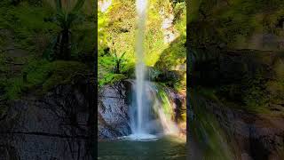 Mount Meru Forest Napuru Waterfalls traveldocumentary tanzania tanzanianyoutuber tanzaniasafaris [upl. by Surtimed]