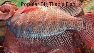 Tilapia Fish Cutting Skills That Will Amaze You [upl. by Gotcher]