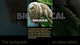 Tardigrade survival animalfacts shorts top10amazingfactsoftheworld [upl. by Idnir]