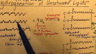 VIDEO Triacylglycerols Reaction 2 Hydrogenation [upl. by Kalagher]