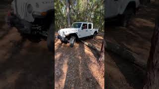 Getting the trails ready for jeeptoberfest jeep event [upl. by Yelsnia]