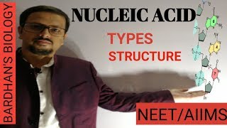 NUCLEIC ACIDS structure in detail amp types Biomolecules in HINDI [upl. by Asertal421]