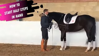 How To Start Half Steps In Hand With Your Dressage Horse [upl. by Aleil]