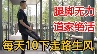 道家绝活“踏云步”！93岁道长天天练，打开腿脚经络走路生风【人体百科David伟】 [upl. by Inad]