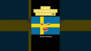 Direct Translations from Swedish to English [upl. by Wesle]