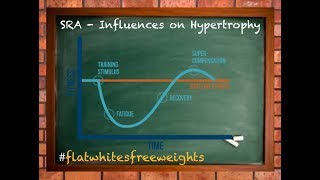 How SRA Curves Influence Training For Hypertrophy [upl. by Lasyrc]