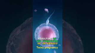 The Design of Identical Twins 🥰 How Twins Are Formed 😲explore pregnancy twins animation neet [upl. by Artamas517]