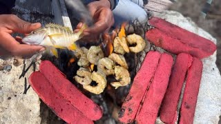 Hand line fishing in dangerous pond catching tilapia  jaguar fish catch N cook must watc… [upl. by Uund]