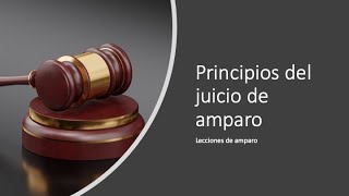 Principios del juicio de amparo [upl. by Sheff113]