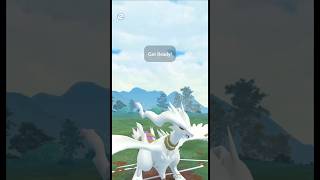 ✨ Shiny Reshiram VS ✨ Shiny Garchomp GO BATTLE LEAGUE pokemongo shorts battle [upl. by Moria]