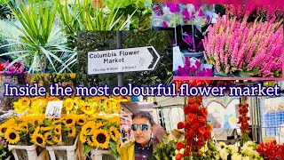 TravelTalesByMuqs A vibrant haven of colour and fragrance Columbia flower market flowermarket [upl. by Helge239]