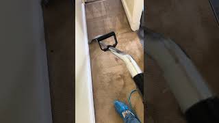 Hallway Carpet Cleaning in Ilford carpetsteamcleaning satisfying steamcleaning [upl. by Acissev]