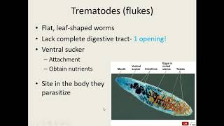 Ch 23 Parasitic Helminths [upl. by Nossila675]