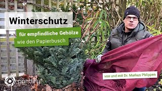 Winterschutz für empfindliche Gehölze wie den Papierbusch  gardify Tipps [upl. by Aziza217]