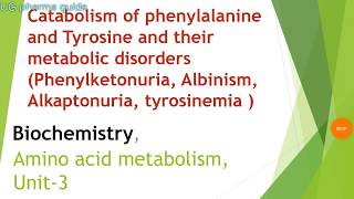 catabolism of phenylalanine and tyrosine and their metabolic disorders [upl. by Sheldon]