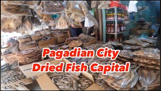 Pagadian Dried Fish Market  Capital Dried Fish [upl. by Anerres918]