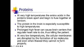 Physiological Psychology Chapter 13 [upl. by Morril]