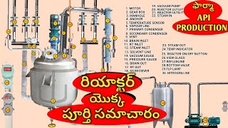 pharmaceutical reactor information  parts of the reactor and use  pharmaceutical api industry [upl. by Haskins]