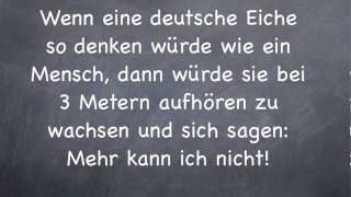 Zitate Die 50 besten Zitate zur Motivation [upl. by Thea13]