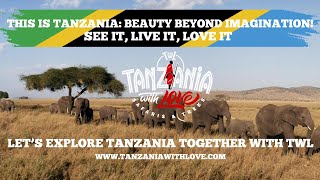 Affordable Tanzania Safaris  Private Big 5 Wildlife Tours Serengeti amp Ngorongoro Adventures [upl. by Roter973]