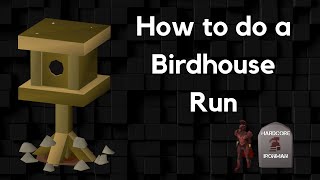 OSRS  How to do a Birdhouse Run from Fossil Islands rowboat teleport using mushrooms [upl. by Nylehtak]