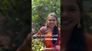 Fruit angur fruitfarming mango plants nursery fig angeer fruitfarming pune gardening [upl. by Dustie646]