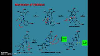 Proton Pump Inhibitors [upl. by Orestes558]