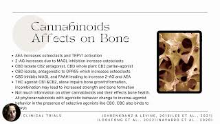 Cannabinoids and OA [upl. by Aicsila557]