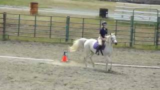 Dressage Training Level Test 1 [upl. by Dedra]