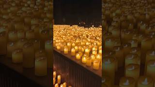 Candlelight concert ytshorts 80smusic trending ashortaday candlelightconcert lights love me [upl. by Brittan]