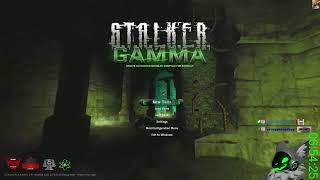 NEW GAMMA UPDATE Actual Update This Time  STALKER GAMMA Ironman [upl. by Orhtej947]