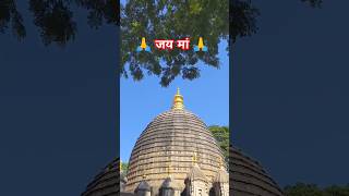 Maa kamakhya mandir darshan 🙏shorts youtubeshorts kamakhyatemple kamakhyamandir kamakhyadevi [upl. by Heddy]