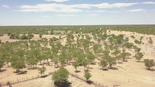 Ovambo Tribe Omphakoya Oufa Village north Namibia by Drone [upl. by Nonnahsed]