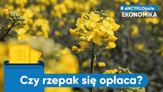 Czy uprawa RZEPAKU jest opłacalna [upl. by Eyahs]