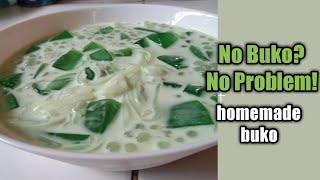 how to make buko pandan salad without buko  No Buko Buko pandan Jelly Salad [upl. by Dom754]