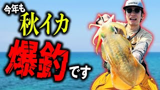 【釣り】エギング初心者でもこの動画を見れば、爆釣できるぞ！！ [upl. by Colton800]