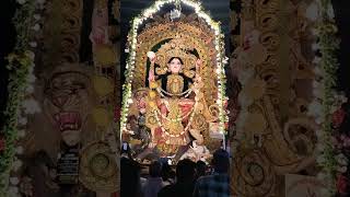 Dhekho aloy alo akash 🥰jagadhatriapuja subscribe youtube [upl. by Sirad]