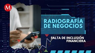 La Banca pierde en inclusión financiera  Radiografía de Negocios [upl. by Ybroc]