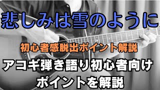 浜田省吾【悲しみは雪のように】ギター弾き語り【初心者向け】弾き方ポイント解説 [upl. by Akihc]