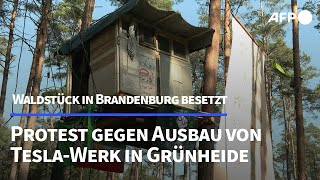 Protest gegen Ausbau von TeslaWerk in Brandenburg Waldstück besetzt  AFP [upl. by Samot]