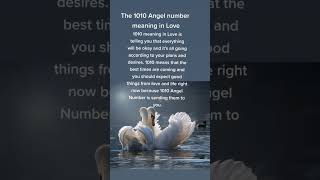 1010 Angel Number Love amp Twin Flame Secrets Revealed love [upl. by Helban1]